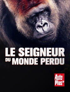 AutoPlus - Le Seigneur Du Monde Perdu