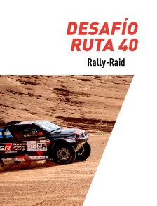 Rallye-raid - Desafío Ruta 40