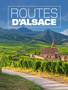 Routes d'Alsace