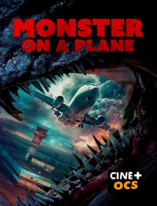 CINÉ Cinéma - Monster on a plane