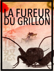 La fureur du grillon