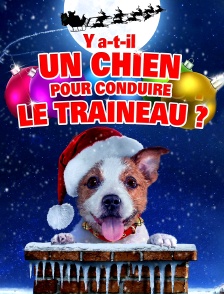 Y a-t-il un chien pour conduire le traîneau ?