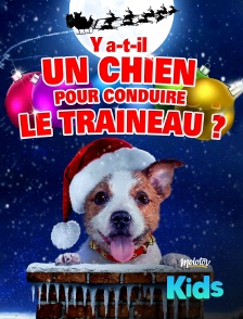 Y a-t-il un chien pour conduire le traîneau ?