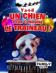 Family Club - Y a-t-il un chien pour conduire le traîneau ?