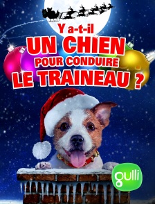 Gulli - Y a-t-il un chien pour conduire le traîneau ?
