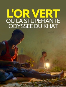 L'or vert ou la stupéfiante odyssée du khat