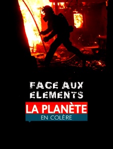Face aux éléments