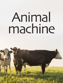 Animal machine