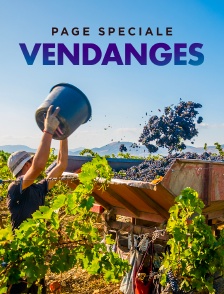 Page spéciale - Vendanges