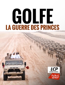 LCP Public Sénat - Golfe, la guerre des princes