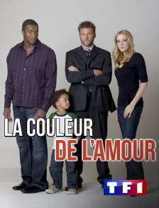 TF1 - La couleur de l'amour