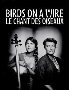 Birds on a Wire - Le Chant des oiseaux
