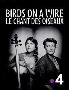 France 4 - Birds on a Wire - Le Chant des oiseaux