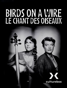 Culturebox - Birds on a Wire - Le Chant des oiseaux