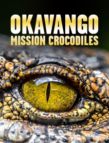 Okavango : mission crocodiles