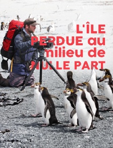 L'île perdue au milieu de nulle part