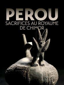 Pérou, sacrifices au royaume de Chimor