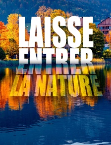 Laisse entrer la nature