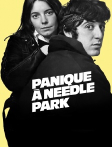 Panique à Needle Park
