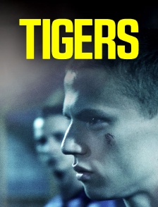 Tigers