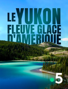 France 5 - Le Yukon, fleuve glacé d'Amérique