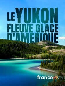 france.tv - Le Yukon, fleuve glacé d'Amérique