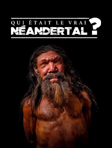 Qui était le vrai Néandertal ?