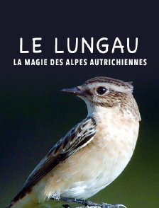 Le Lungau, la magie des Alpes autrichiennes