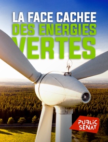 Public Sénat - La face cachée des énergies vertes