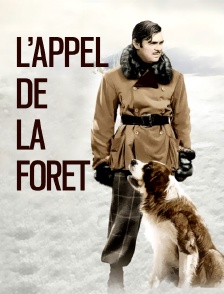 L'appel de la forêt