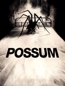 Possum