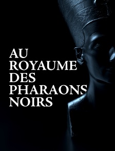 Au royaume des pharaons noirs