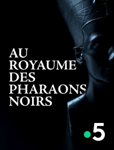 Au royaume des pharaons noirs