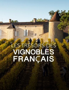 Les trésors des vignobles français