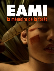 Eami, la mémoire de la forêt