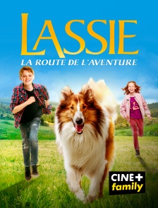 CINE+ Family - Lassie, la route de l'aventure
