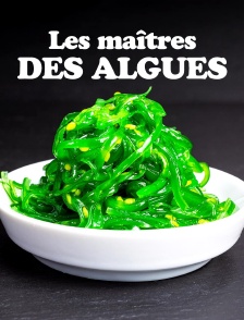 Les maîtres des algues