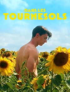 Dans les tournesols