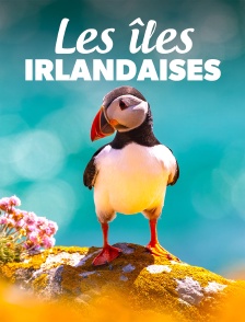 Les îles irlandaises, avant-postes de l'océan