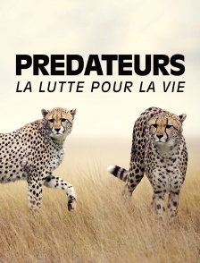 Prédateurs, la lutte pour la vie