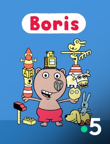 France 5 - Boris