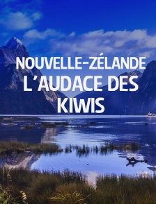 Nouvelle-Zélande : l'audace des kiwis
