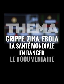 Grippe, zika, Ebola : la santé mondiale en danger
