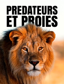 Prédateurs et proies, un équilibre fragile