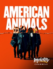 Molotov channels - American Animals