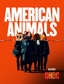 Molotov Channels CHOC - American Animals