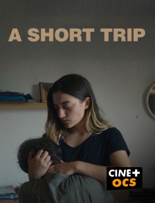 CINÉ Cinéma - A Short Trip