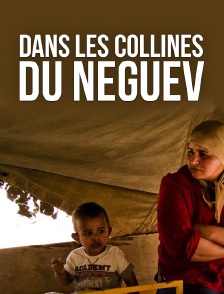Dans les collines du Néguev