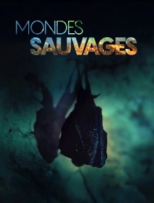 Mondes sauvages