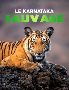 Le Karnataka sauvage